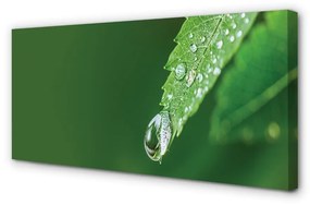 Canvas képek Water drop levél 100x50 cm