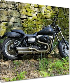 Vászonkép 60x60 Harley-val a kiránduláshoz