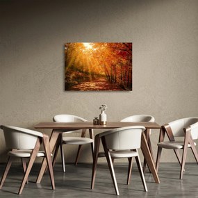 Őszi erdő képe (üvegen) (70x50 cm)