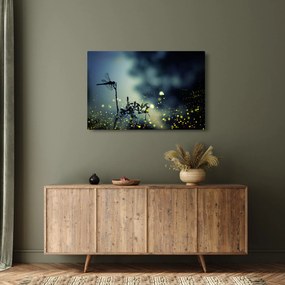 Kép - szitakötő a csillogó éjszakában (90x60 cm)