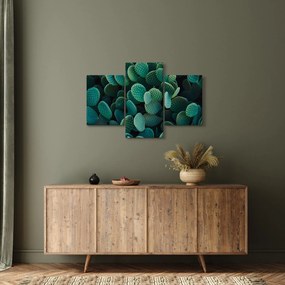 Kép - Opuntia (90x60 cm)