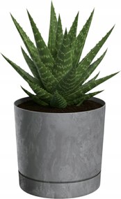 Kerek kaspó fedél beton sötét szürke ø14,8cm