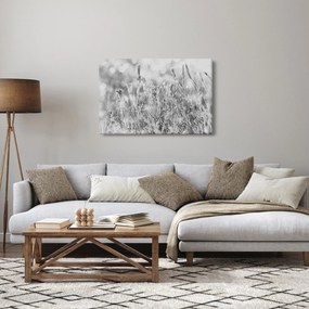 Kép - Hideg tél (90x60 cm)