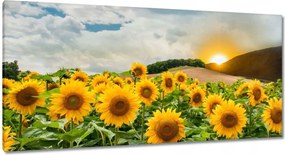 Vászonkép 115x55 Tájkép Napraforgók