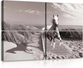 Vászonkép 120x80 Fehér ló galopp tengerpart dűnék szabadság természet mozgás energia erő