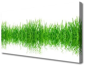 Vászonfotó Grass Nature Plant 120x60 cm