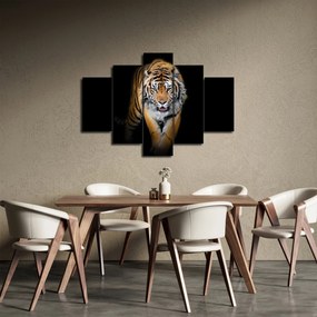 Kép - Tigris (150x105 cm)