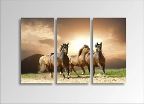 Digital Art vászonkép | 1230-S Running Horses THREE