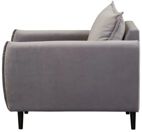 Szürke bársony fotel Juli – Ropez