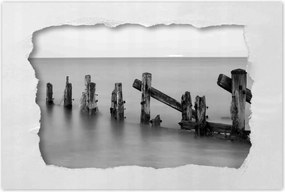 Poszterek 90x60 Fa hullámtörő