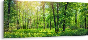Kép - Tavaszi lomberdő (120x50 cm)