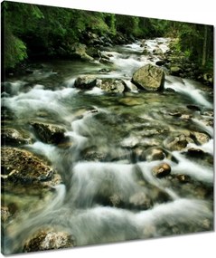 Vászonkép 60x60 Folyó a Tátrában
