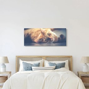 Egy kép a macskáról a padlón (120x50 cm)