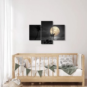 Kép - A strand a telihold alatt szürke tónusokkal (90x60 cm)