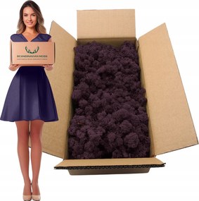 Rénszarvas moha norvég dekoratív élő dísz lila 500g