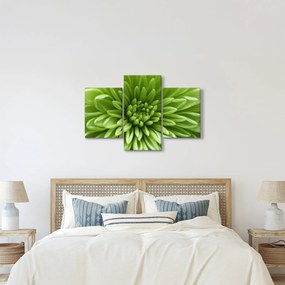 Kép - Makro kép egy növényről (90x60 cm)