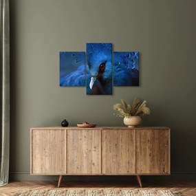 Kép - Koronás galamb (90x60 cm)