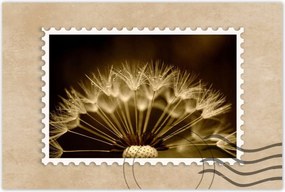 Poszterek 60x40 Pitypang Virág Virágok