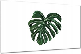 Vászonkép 120x70 Monstera deliciosa Levél