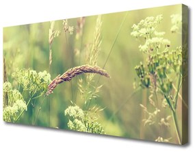 Vászonkép falra Wild Plants Természet 140x70 cm