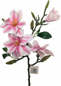 Orchidea ág gumírozott fehér-rózsaszín (sp)