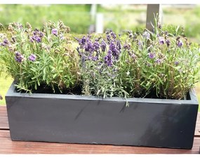 PX A Beton hatású Kaspó - antracit