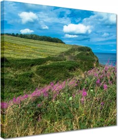 Vászonkép 30x30 Virágos rét a tengerparton
