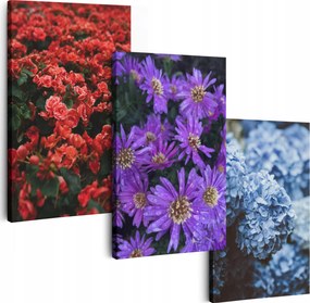 Vászonkép 150 cm **többféle minta** Nappali Képek Triptichon Virágok
