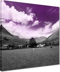 Vászonkép 40x40 Lila égbolt