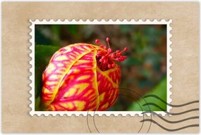 Poszterek 90x60 Nőnap Ajándék Love