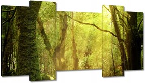Festmények 120x65 Varázslatos erdő Tájkép