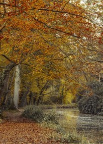 Poszter 39,5x55cm Ösvény a csatornánál, Assaf Frank