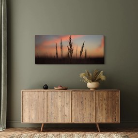 Kép - A növény sziluettje (120x50 cm)