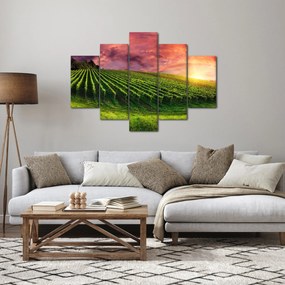 Szőlőskert és a színes égbolt képe (150x105 cm)