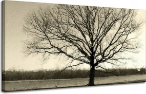 Vászonkép Sötét fekete fa Szomorúság 120x60 cm Ideális ajándék