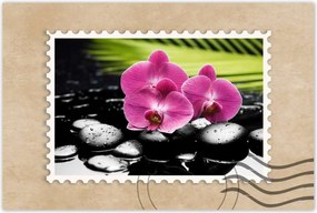 Poszterek 90x60 Spa Kövek és leanderek