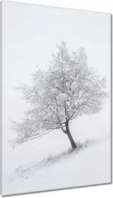 Vászonkép 80x120 Fa Kilátás