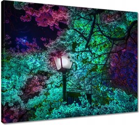 Vászonkép 50x40 Éjszakai motívum a konyhába