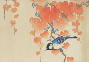 Flizelin fotótapéta Flizelin Designer Bűnös harmónia 312x219