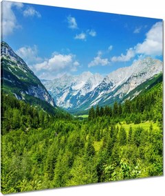 Vászonkép 70x70 Hegyi táj gyönyörű felhőkkel Fák a hegyekben