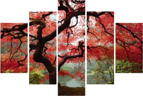 Red Japanese Maple, Portland, Oregon képe (150x105 cm)
