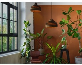 Ledvance - Mennyezeti lámpa DECOR CARDBOARD 1xE27/15W/230V átm. 36 cm