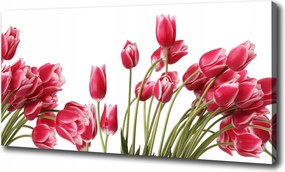 Vászonkép Vörös tulipánok 100x70 cm
