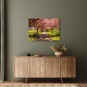 Kép - cseresznye ültetvény (üvegen) (70x50 cm)