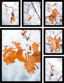 Poszter szett 6db téli fotó hó fa levelek nagy kép készlet
