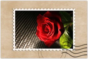 Poszter 90x60 Vörös rózsa levelekkel