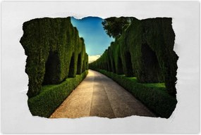 Poszterek 120x80 Tájkép Látvány