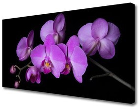 Vászonkép nyomtatás Orchidea Orchidea Virág 120x60 cm