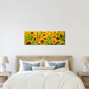 Kép - Napraforgók (órával) (90x30 cm)