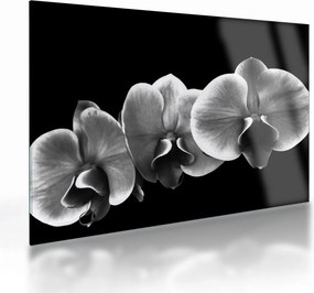 Egy orchidea virág képe (üvegen) (70x50 cm)